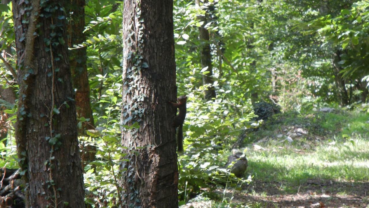 La Fontanina Villa Vobarno Kültér fotó